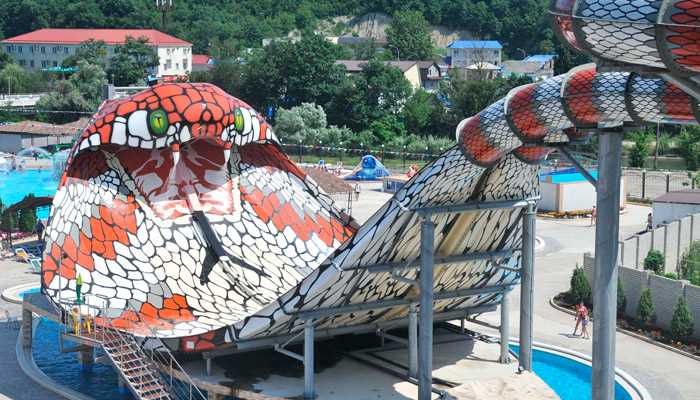 Билеты на полный день